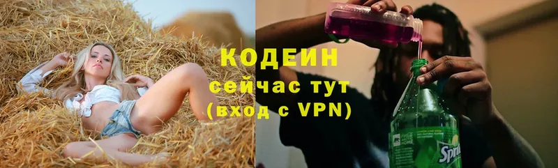 mega ССЫЛКА  площадка формула  Codein Purple Drank  наркота  Гатчина 